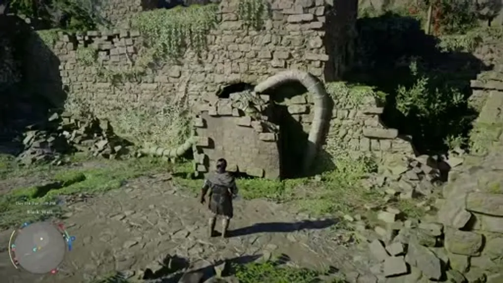 A large stone block held in place by a massive twisted root at the Black Wall Ancient Ruins in Crimson Desert, with the player character standing before the overgrown stone wall.